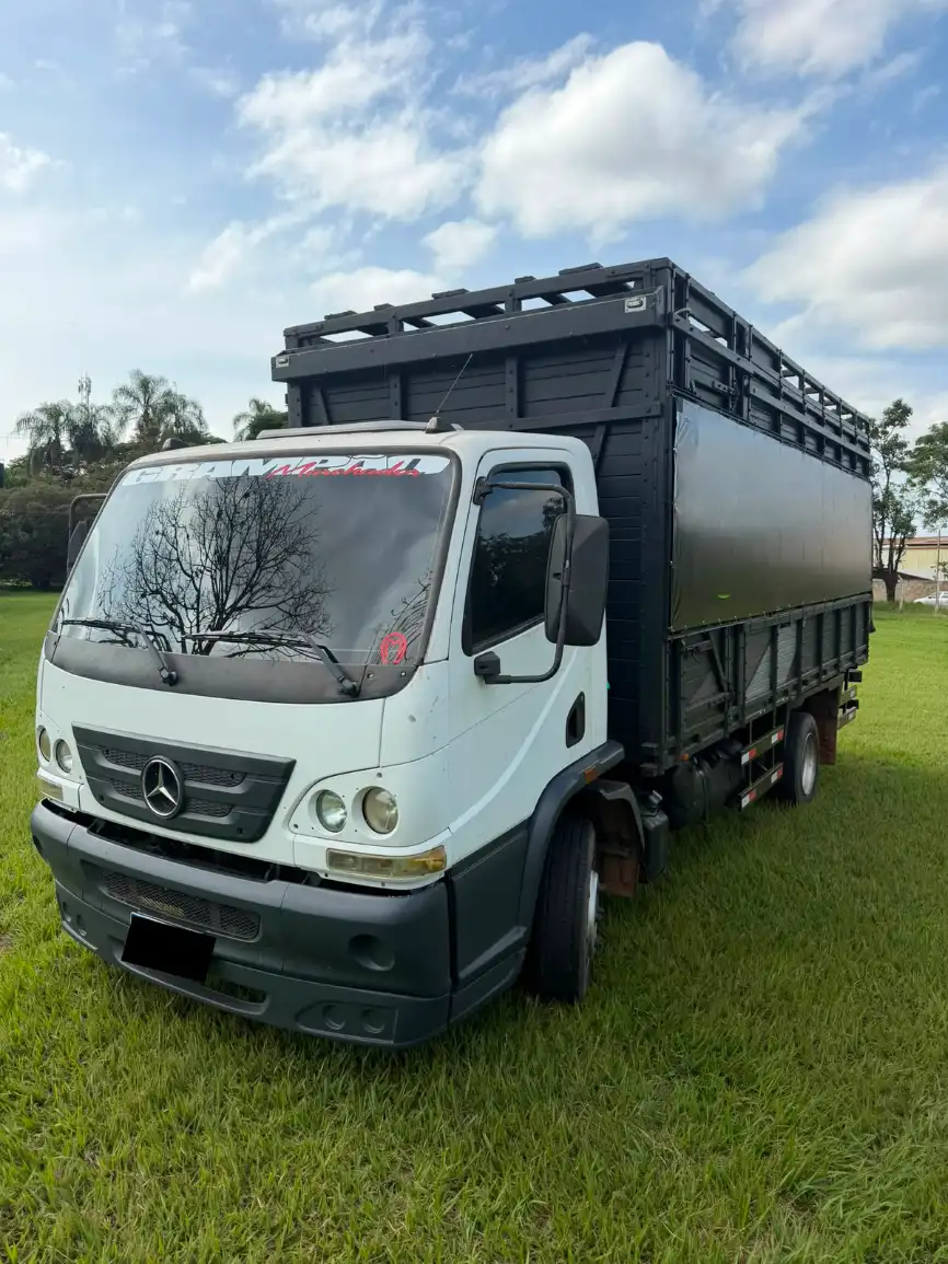 MERCEDES ACCELO 815 2013 4X2 5.30comp. 2.00alt. boiadeiro 694.218km 8B63